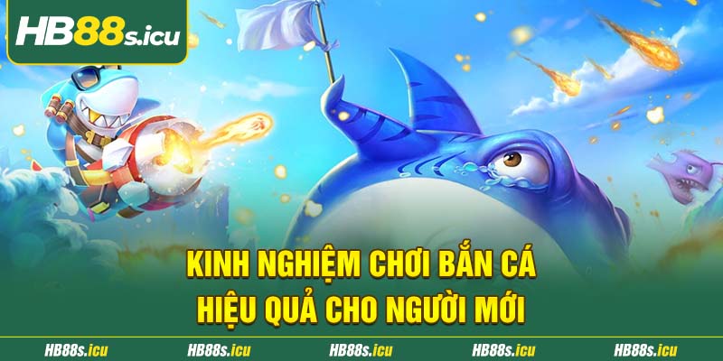 Kinh Nghiem Choi Ban Ca Hieu Qua Cho Nguoi Moi