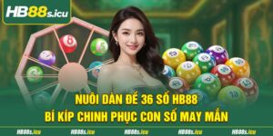 Nuoi Dan De 36 So Hb88 Bi Kip Chinh Phuc Con So May Man