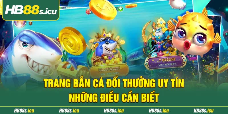 Trang Ban Ca Doi Thuong Uy Tin Nhung Dieu Can Biet